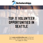 Top 11 Volunteer Opportunities in Seattle