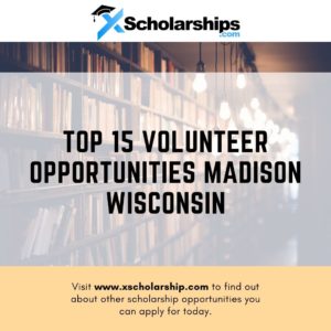 Top 15 Volunteer Opportunities Madison Wisconsin