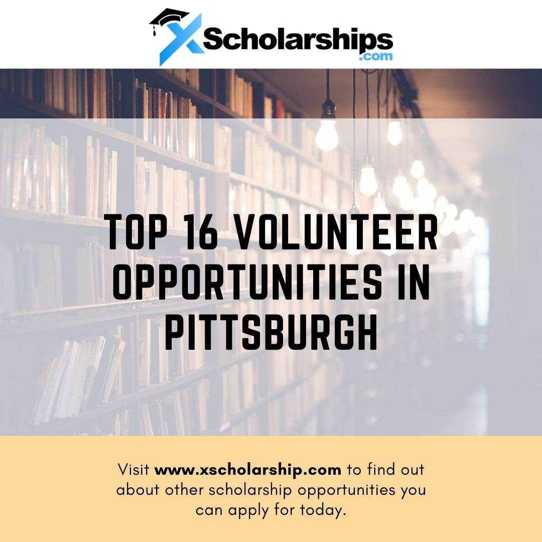 Top 16 Volunteer Opportunities In Pittsburgh xScholarship