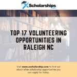 Top 17 Volunteering Opportunities In Raleigh NC