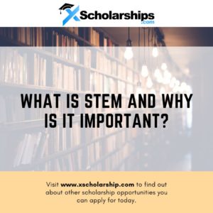 What Is STEM and Why Is It Important?